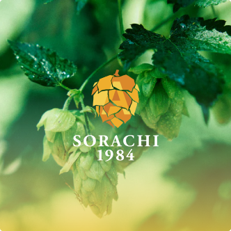 SORACHI 1984